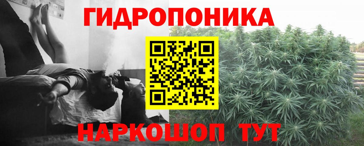 Конопля марихуана Балашиха